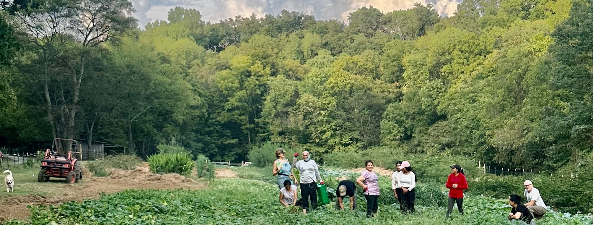 Picture of The Welcome Garden team